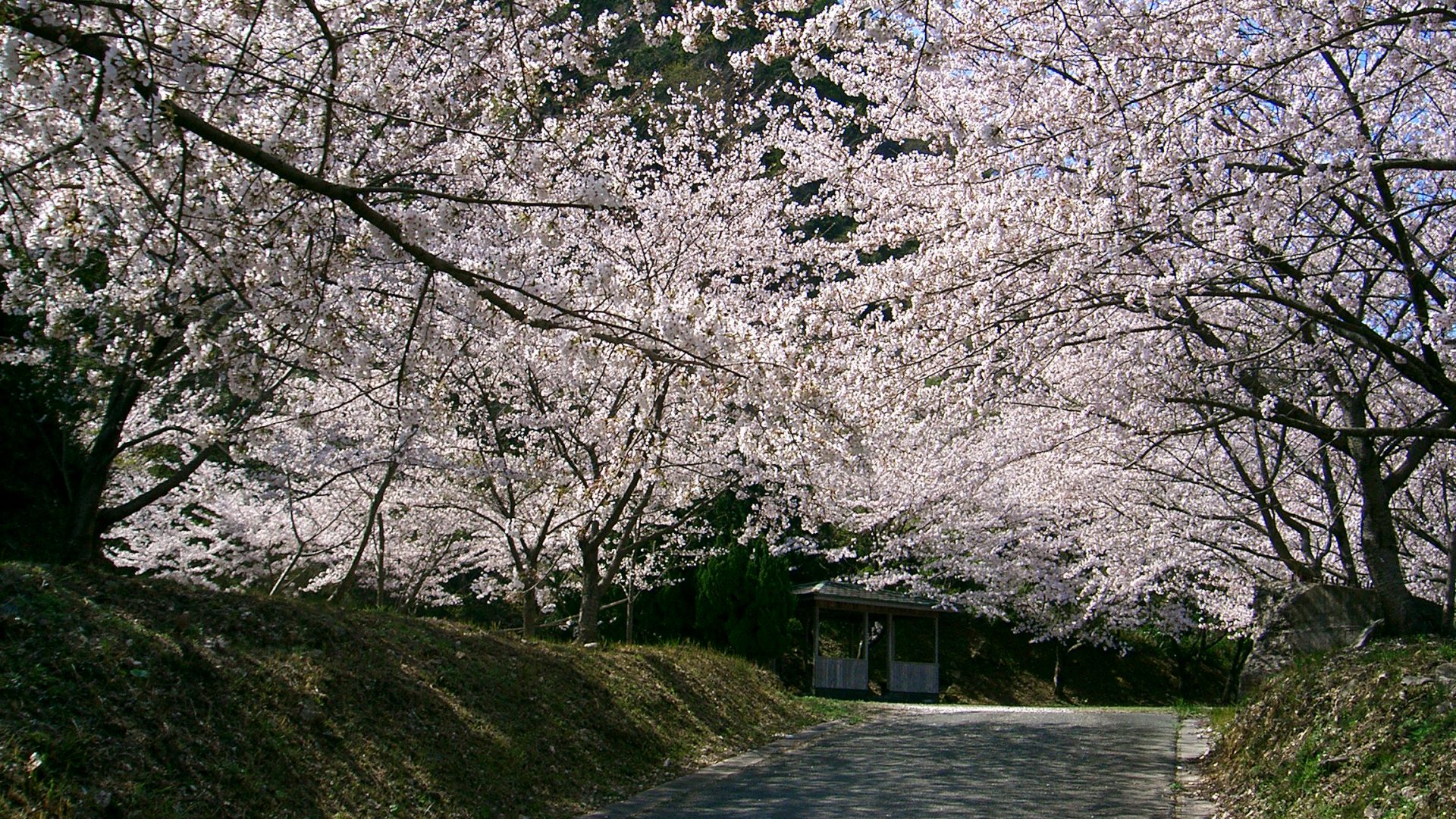 姫戸公園 熊本県天草観光ガイド